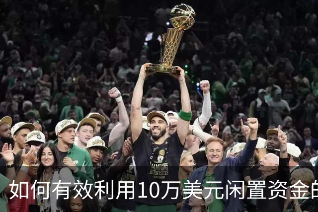如何有效利用10万美元闲置资金的三种策略分析