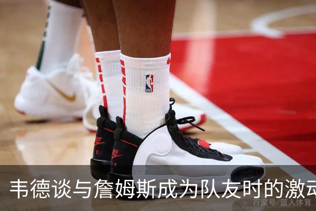 韦德谈与詹姆斯成为队友时的激动心情